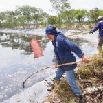 Lixiviados serán tratados