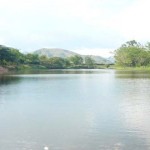 Política Pública Ambiental para el Valle del Cauca