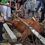 Exceso de velocidad causó accidente